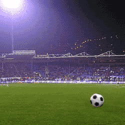 170.gif
