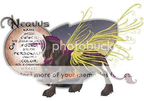 User Image